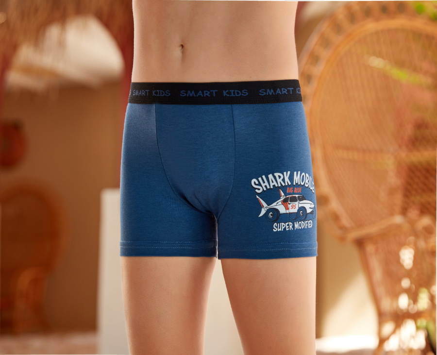Resim 1575 ÇOCUK BOXER